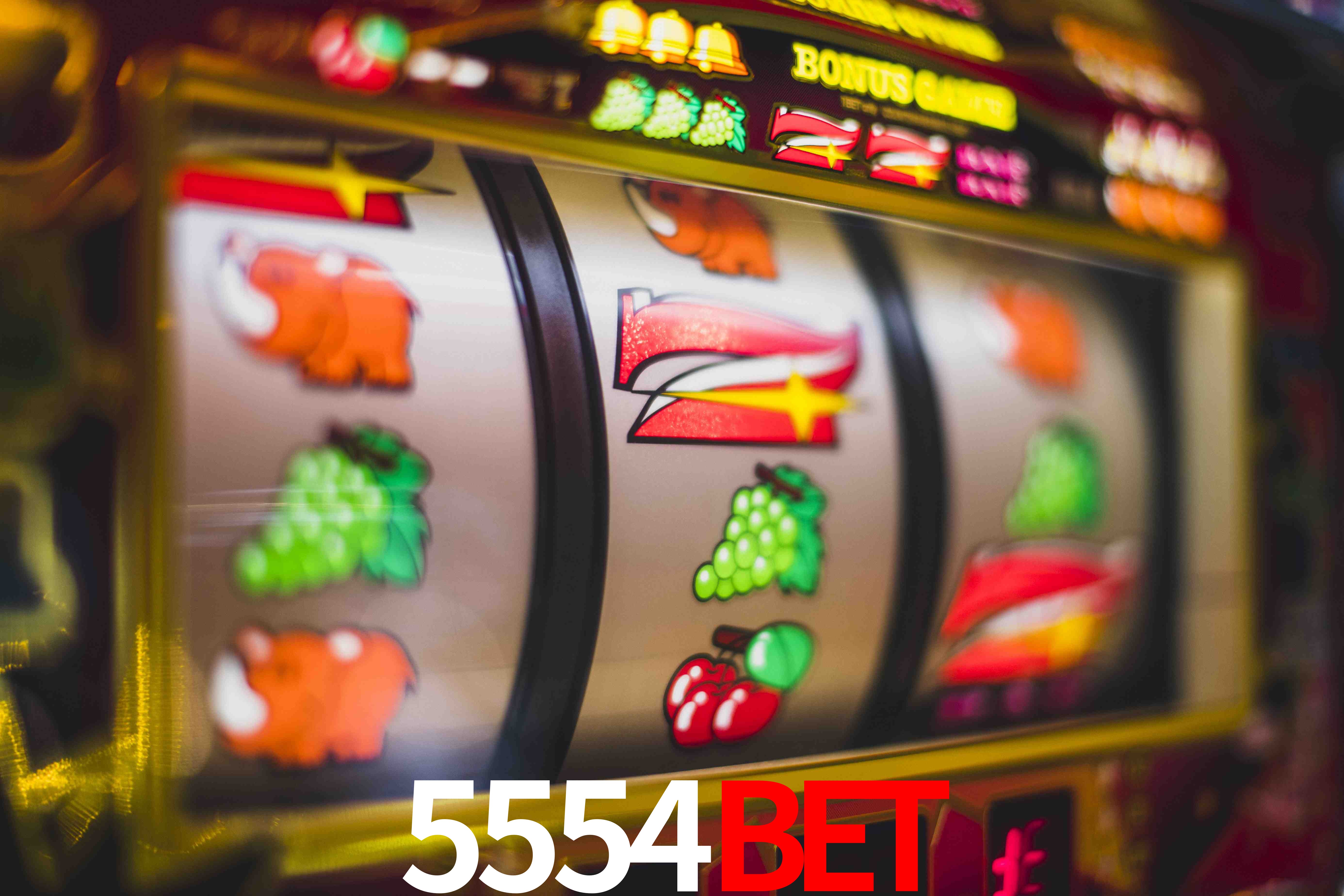 VIP Casino 5554bet